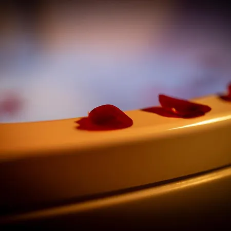 L'interdit A Sensual And Intimate Love Rouen